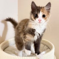 Photo of Eva