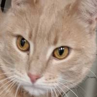 Photo of Champy