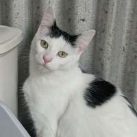 Photo of Diva