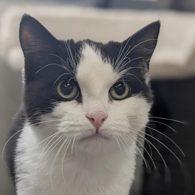 Photo of 🥇 Hulu 6043 🥇