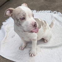 Photo of Gloria