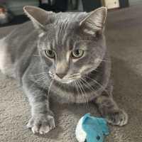 Photo of Claude 👑