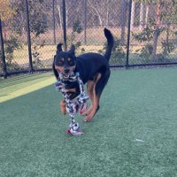 Photo of Matty Imp 1507