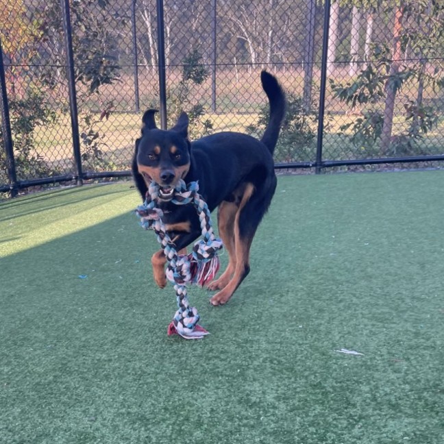 Photo of Matty Imp 1507