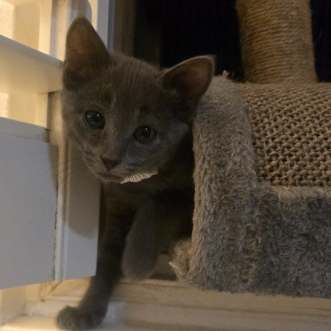 Photo of Andy