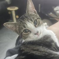 Photo of Asher