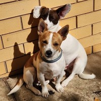 Photo of Dougie And Timmy