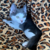 Photo of Chad 🐻‍❄️💙🐻‍❄️