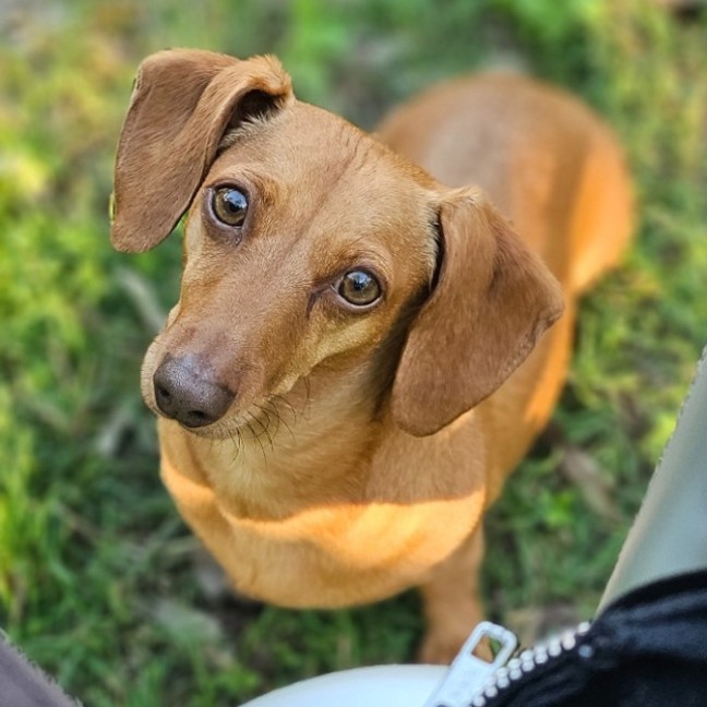 Photo of Chanel
