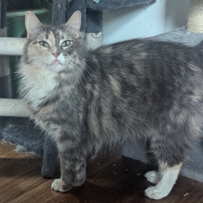 Photo of Nami