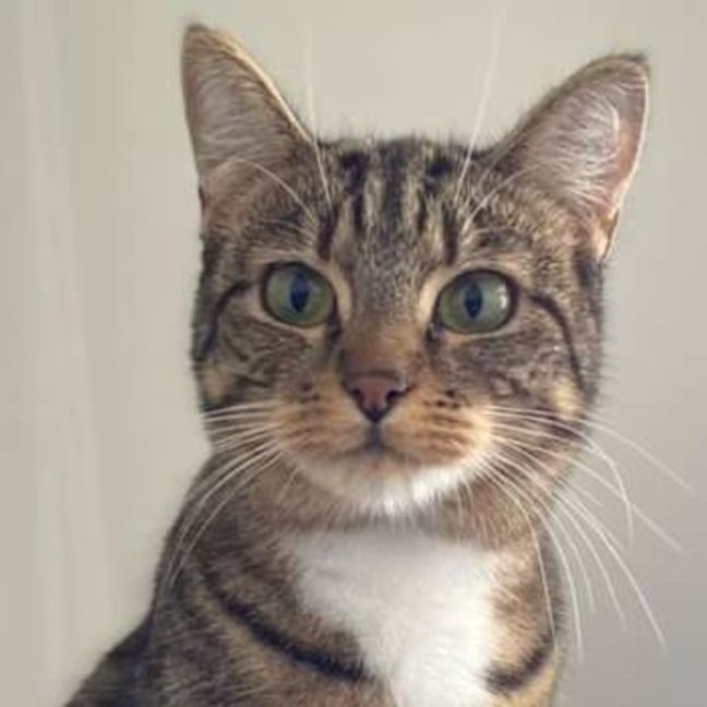 Photo of Bella 🌹🌹🌹