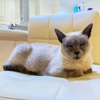 Photo of Audrey