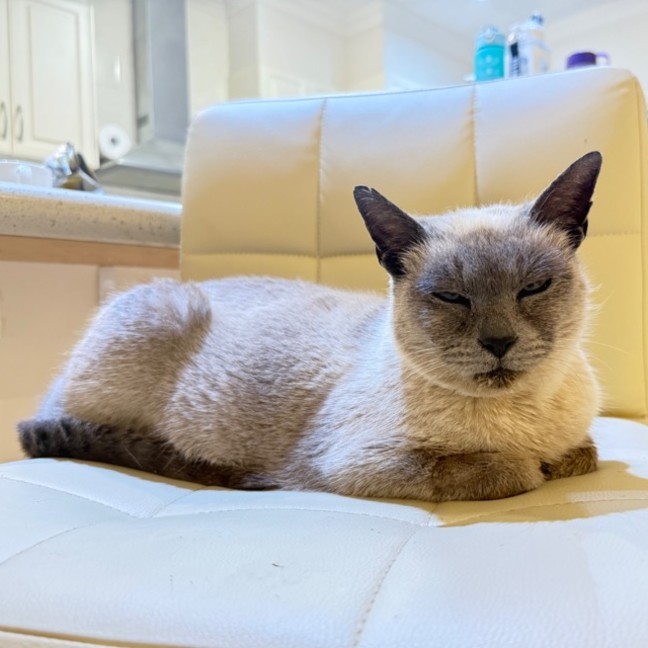 Photo of Audrey