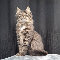 Photo of Calvin
