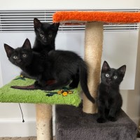 Photo of Ellie, Wall E & Watney