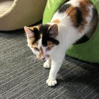 Photo of Cali