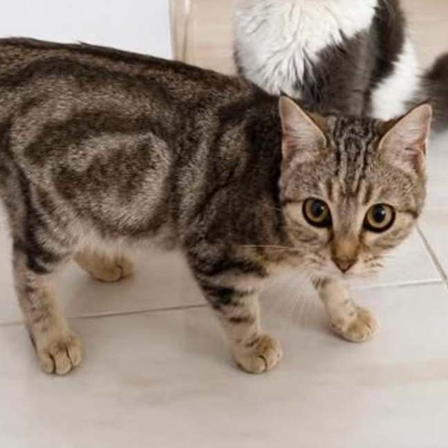 Photo of Savannah