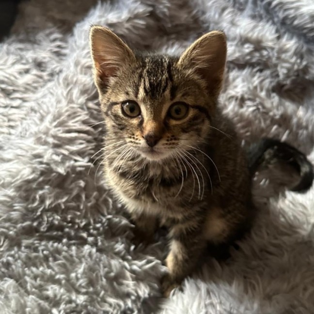 Photo of Tabitha