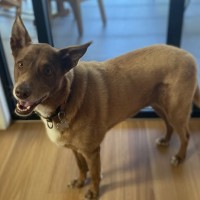 Photo of Pokie