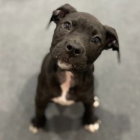 Photo of Penny Lane