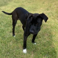 Photo of Billie Piper