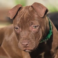 Photo of Zap