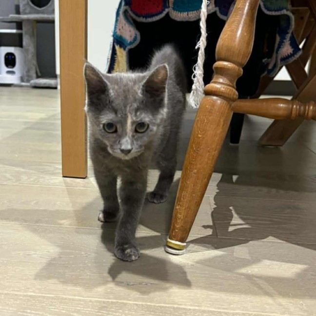 Photo of Maeve 