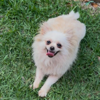 Photo of Coco & Bubbles 