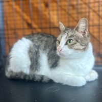 Photo of Lucky