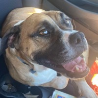 Photo of Bella 