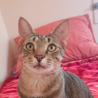Photo of Bob