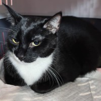 Photo of Bruce