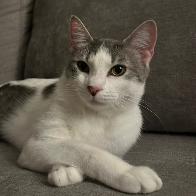Photo of Honey