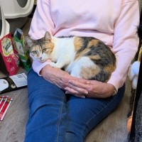 Photo of Daisy