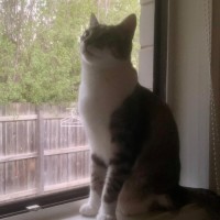 Photo of Ellie