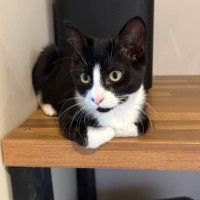 Photo of Jack