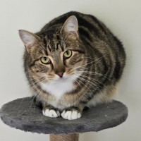 Photo of Maize & Sultana (Located Wantirna)