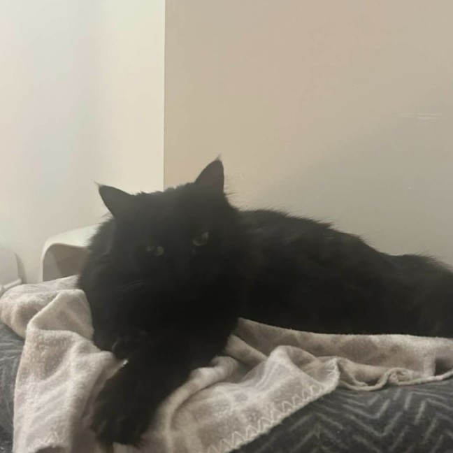 Photo of Mariska And Antoni ❣️❣️