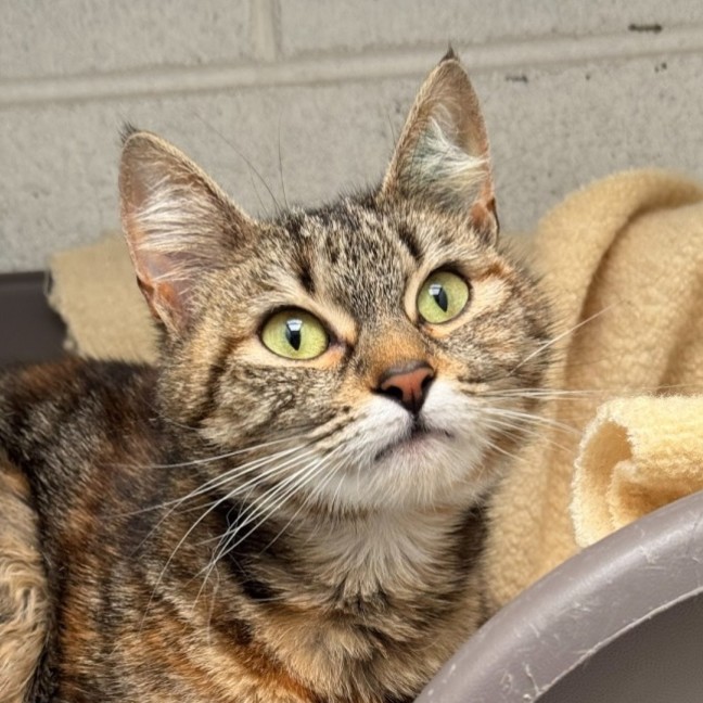 Photo of Penelope