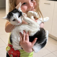 Photo of Bowser 
