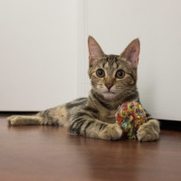 Photo of Betty Lou