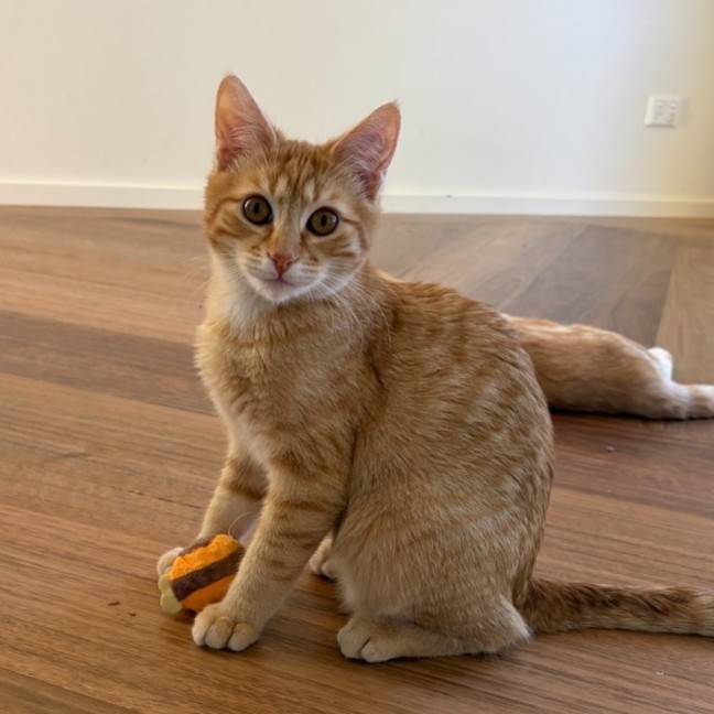 Photo of Huey