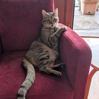 Photo of Marty