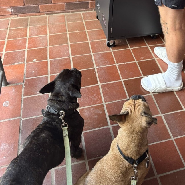 Photo of Java And Riley