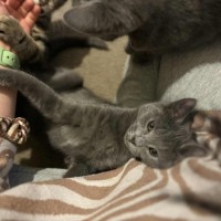 Photo of Dee   Located In Preston