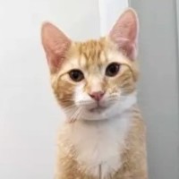 Photo of Scotty   Located In Preston