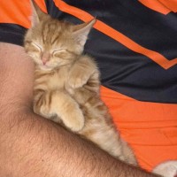 Photo of Charlie   Located In Preston