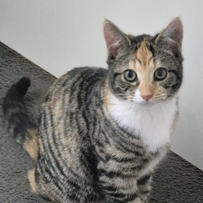 Photo of Cleopatra