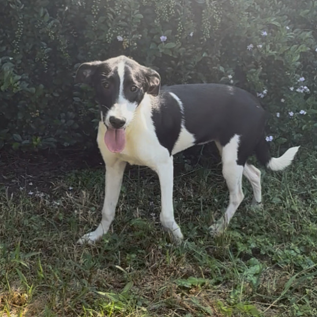 Photo of Princess