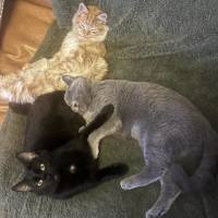 Photo of ✨Winnie✨